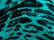 Turquoise-black leopard textile background