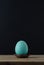 Turquoise Blue Egg in Small Nest against Black Background