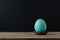 Turquoise Blue Egg in Small Nest with Black Background