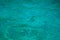 Turquoise blue tropical sea water texture. Rippled seawater closeup. Still sea surface