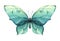 Turquoise butterfly with water drops and a pattern. Watercolor illustration. Isolated object. For decoration, design and
