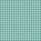 Turquoise checkered tablecloth