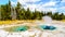 The turquoise colored Spasmodic Geyser in the Upper Geyser Basin in Yellowstone National Park