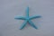 Turquoise dry starfish over white sand