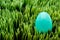 A turquoise Easter egg on green grass