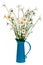 Turquoise jug with oxeye daisies