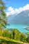 Turquoise Lake Brienz in Interlaken, Switzerland photographed from the hiking path to Harder Kulm. Amazing Swiss landscape. Green