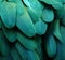 Turquoise Macaw Feathers