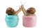 On turquoise and pink jars for cosmetic cream, two snails are sitting, stretching their necks to each other, concept