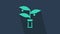 Turquoise Plant breeding icon isolated on blue background. Plants growing in the test tubes. Organic food ,agriculture