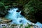 Turquoise rapids of Radovna river in Vintgar Gorge