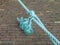 Turquoise rope with a knot above the pavement in the harbor