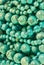 Turquoise round beads background