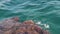 Turquoise sea waves break on rock on the seashore