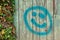 Turquoise smiley painted on a weathered wooden plank background with a frame of green and orange ivy leaves on the left side