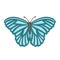 Turquoise spring butterfly moth symbol, illustration vector