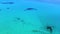 Turquoise transparent tropic sea. Exotic travel vacation destination. Aerial view