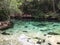 Turquoise water Yax Kan Cenote Yucatan Mexico