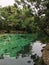 Turquoise water Yax Kan Cenote Yucatan Mexico