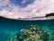 Turquoise Waters and Transparent Reef: Snorkeling in the Exotic Island of Kioa