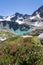 Turquoise Wedgemount Lake, Wedge Mountain and Alpine flowers, Whistler, BC