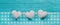 Turquoise wooden shabby chic background with white hearts on a c