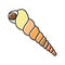 turritella sea shell beach color icon vector illustration