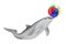 Tursiops Truncatus Ocean or Sea Bottlenose Dolphin with Colorful Beach Ball. 3d Rendering