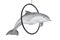 Tursiops Truncatus Ocean or Sea Bottlenose Dolphin Jump Through Ring. 3d Rendering