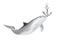 Tursiops Truncatus Ocean or Sea Bottlenose Dolphin play with Nautical Anchor. 3d Rendering
