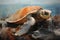 Turtle on the beach in the sea, closeup of photo, Dead turtle in fishing nets, AI Generated