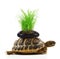 Turtle carrying a stone with grass on the back