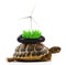 Turtle carrying a wind shovel on its back