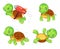 Turtle child in different poses, tortoise baby
