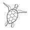 Turtle. Contour drawing of marine animal. Swimming turtle spread its flippers. View from above. Simple doodle sketch with black