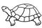 Turtle contour icon