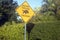 Turtle crossing sign