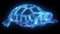 Turtle digital neon video animation