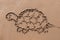 Turtle drawn out on a sandy beach. Beach background. Top view