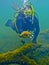Turtle Escapes Diver - Morrison Springs