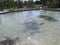 Turtle Farm in Grand Caymen