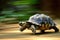 A turtle that fast runs in blur background .generative AI