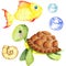 turtle fish in the sea, shell. watercolor illustration