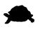 Turtle Frog Black silhouette