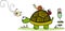 Turtle in garden with animal friends