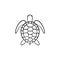 Turtle hand drawn sketch icon.