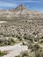 Turtle Head Peak, Red Rock Conservation Area, Nevada, USA