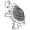 Turtle image. Cartoon illustration of a cute tortoise turtle. Comic style pet doodle