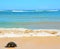 Turtle Laniakea Beach Hawaii