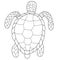 Turtle Line art Black on white background Illustration doodle Monochrome Underwater World collection Icons and symbols